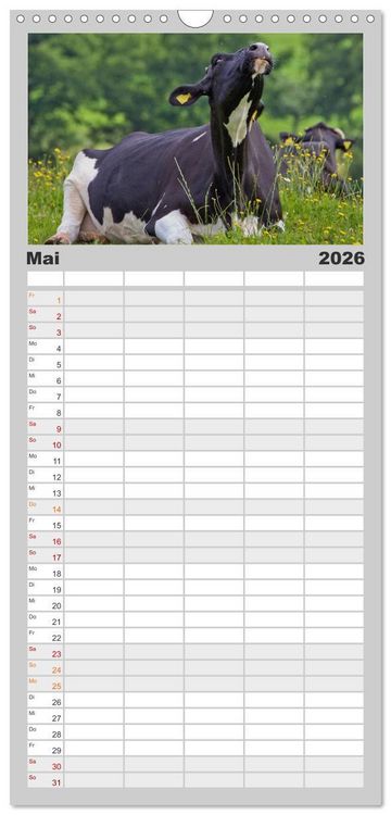 Produktbild: Familienplaner 2026 - Kuh und Co. mit 5 Spalten (Wandkalender, 21 x 45 cm) CALVENDO