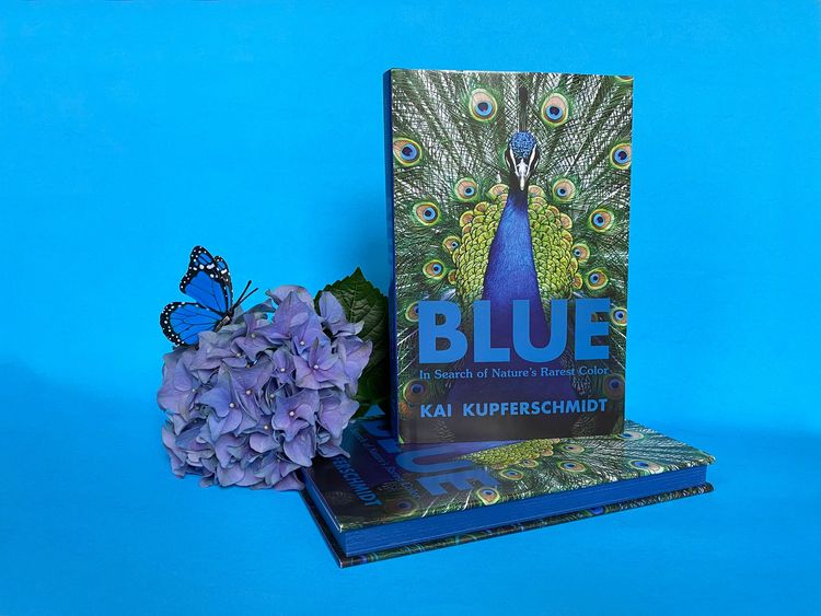 Produktbild: Blue