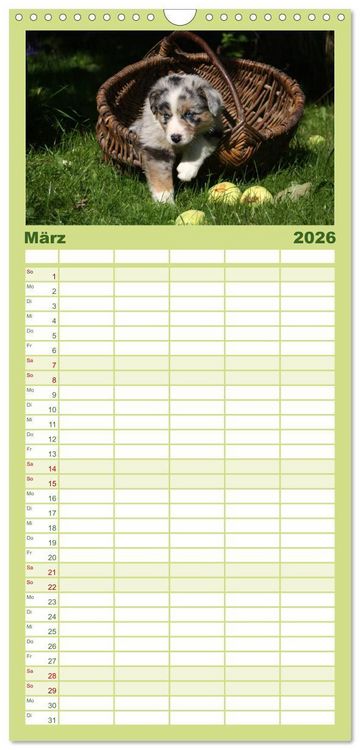Produktbild: Familienplaner 2026 - Der Hundewelpen-Geburtstagskalender mit 5 Spalten (Wandkalender, 21 x 45 cm) CALVENDO