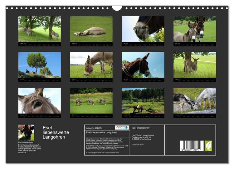 Produktbild: Esel - liebenswerte Langohren (Wandkalender 2026 DIN A3 quer), CALVENDO Monatskalender