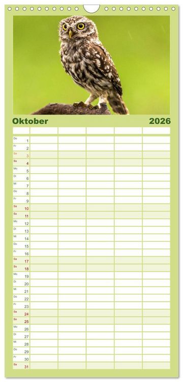 Produktbild: Familienplaner 2026 - Eulen - Wachsame und geheimnisvolle Augen mit 5 Spalten (Wandkalender, 21 x 45 cm) CALVENDO