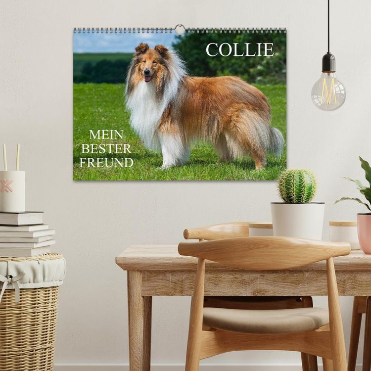 Produktbild: Collie - Mein bester Freund (Wandkalender 2026 DIN A3 quer), CALVENDO Monatskalender