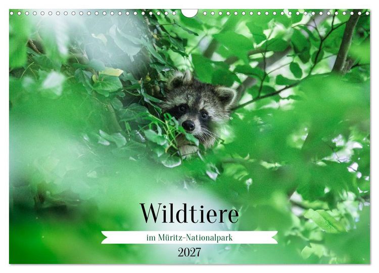 Produktbild: Wildtiere im M&uuml;ritz-Nationalpark (Wandkalender 2027 DIN A3 quer), CALVENDO Monatskalender