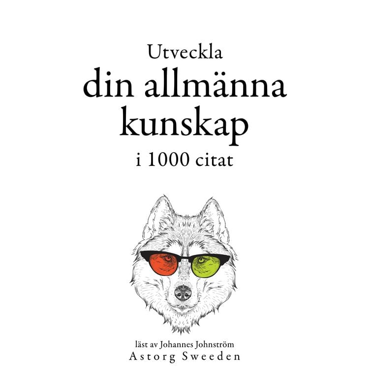 Produktbild: Utveckla din allm&auml;nna kunskap i 1000 offerter