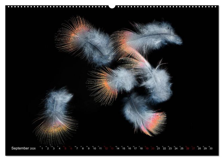 Produktbild: Federleichte Momente (hochwertiger Premium Wandkalender 2026 DIN A2 quer), Kunstdruck in Hochglanz