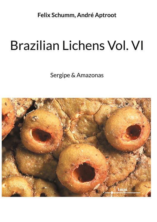Produktbild: Brazilian Lichens Vol. VI