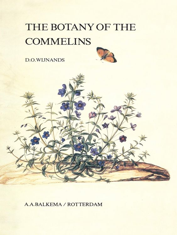 Produktbild: The Botany of the Commelins