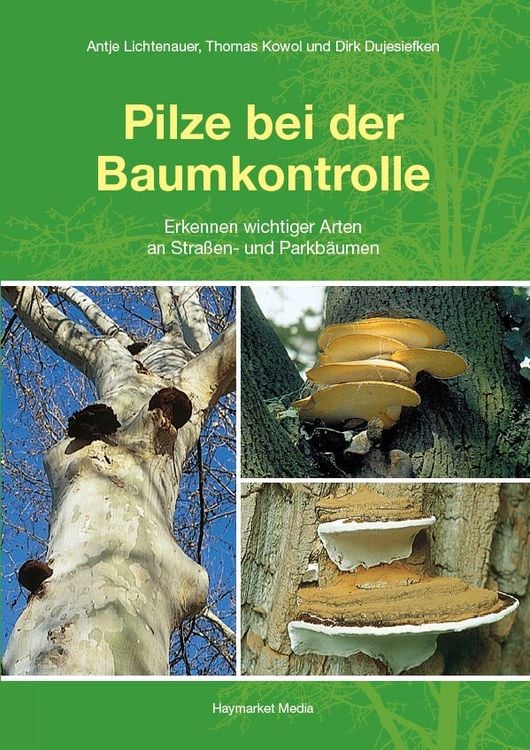 Produktbild: Pilze bei der Baumkontrolle