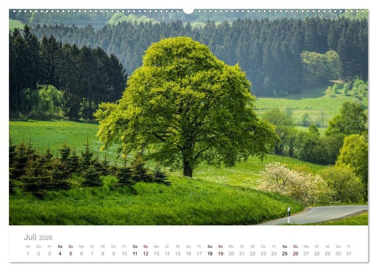 Produktbild: Wundersch&ouml;ne B&auml;ume im Sauerland (hochwertiger Premium Wandkalender 2026 DIN A2 quer), Kunstdruck in Hochglanz