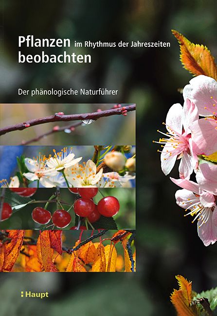 Produktbild: Pflanzen im Rhythmus der Jahreszeiten beobachten