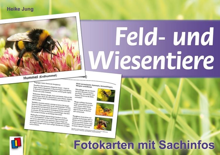 Produktbild: Feld- und Wiesentiere - Fotokarten mit Sachinfos