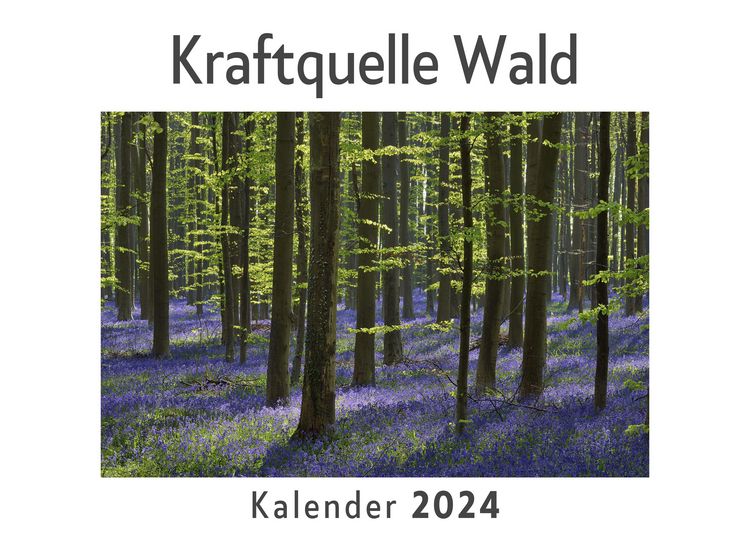 Produktbild: Kraftquelle Wald (Wandkalender 2024, Kalender DIN A4 quer, Monatskalender im Querformat mit Kalendarium, Das perfekte Geschenk)