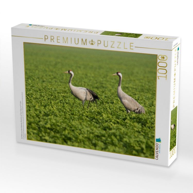 Produktbild: CALVENDO Puzzle Ein Motiv aus dem Kalender Kraniche auf dem Weg nach S&uuml;den | 1000 Teile Lege-Gr&ouml;&szlig;e 64x48cm Foto-Puzzle f&uuml;r gl&uuml;ckliche Stunden