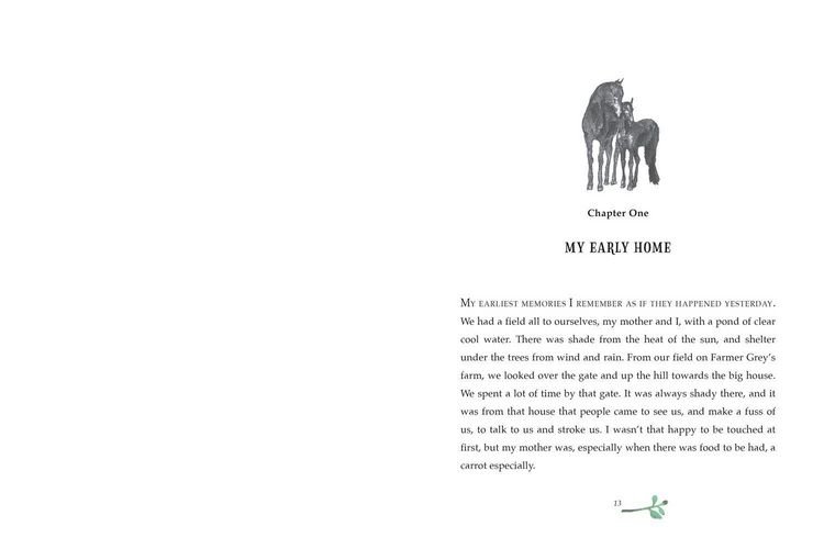 Produktbild: Black Beauty