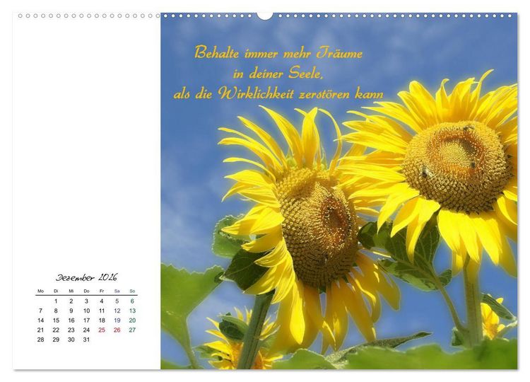 Produktbild: Innehalten in der Natur ... mit Weisheiten und Sprichworten der Indianer (hochwertiger Premium Wandkalender 2026 DIN A2 quer), Kunstdruck in Hochglanz