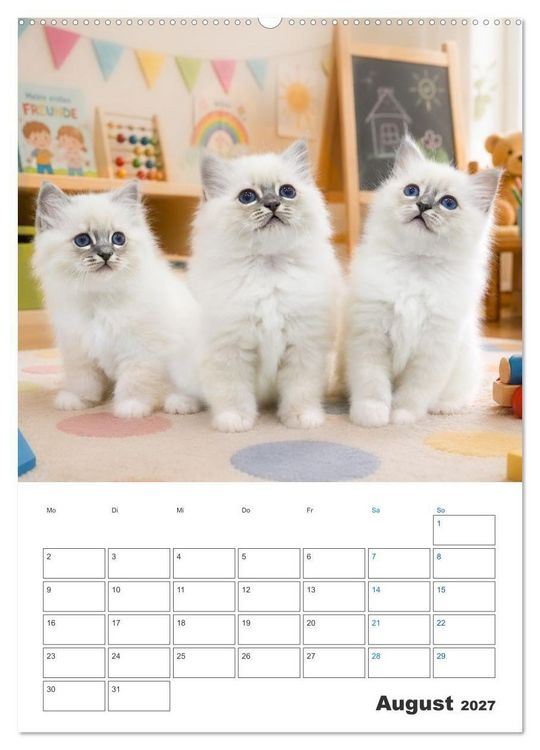 Produktbild: Heilige Birma Kitten Kalender mit Planer (Wandkalender 2027 DIN A2 hoch), CALVENDO Monatskalender