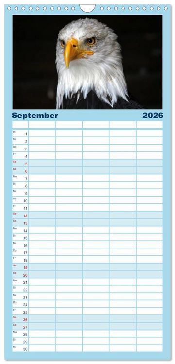 Produktbild: Familienplaner 2026 - Greifv&ouml;gel, Eulen und K&auml;uze mit 5 Spalten (Wandkalender, 21 x 45 cm) CALVENDO