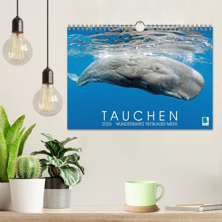 Produktbild: Tauchen: Wunderbares tiefblaues Meer (Wandkalender 2026 DIN A4 quer), CALVENDO Monatskalender