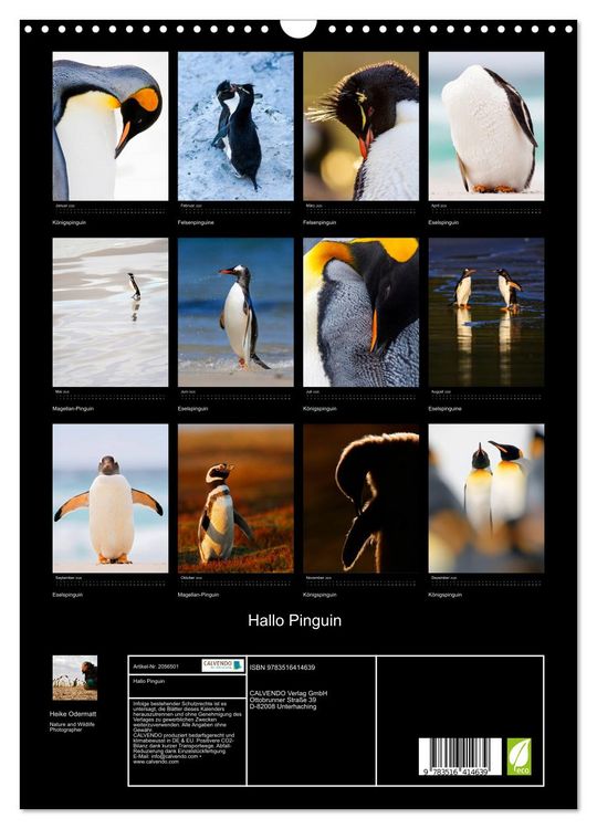 Produktbild: Hallo Pinguin (Wandkalender 2026 DIN A3 hoch), CALVENDO Monatskalender