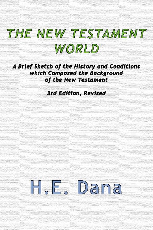 Produktbild: The New Testament World