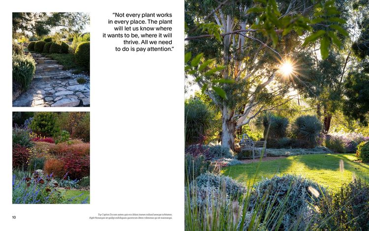 Produktbild: Cottagecore Gardens