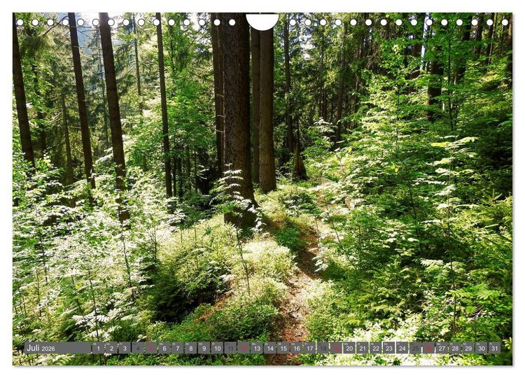 Produktbild: Wege finden immer ein Ziel (Wandkalender 2026 DIN A4 quer), CALVENDO Monatskalender