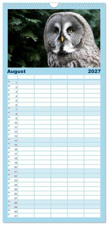 Produktbild: Familienplaner 2027 - Greifv&ouml;gel, Eulen und K&auml;uze mit 5 Spalten (Wandkalender, 21 x 45 cm) CALVENDO
