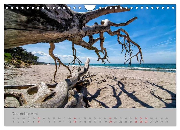 Produktbild: Ostsee, Fischland-Dar&szlig; (Wandkalender 2026 DIN A4 quer), CALVENDO Monatskalender
