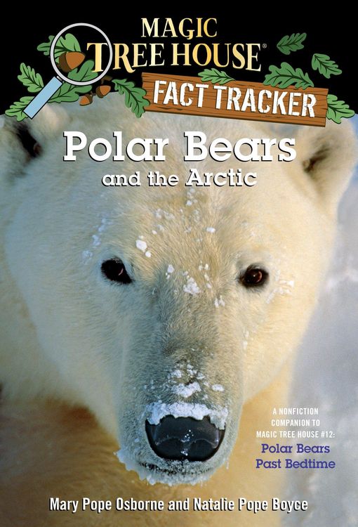 Produktbild: Polar Bears and the Arctic