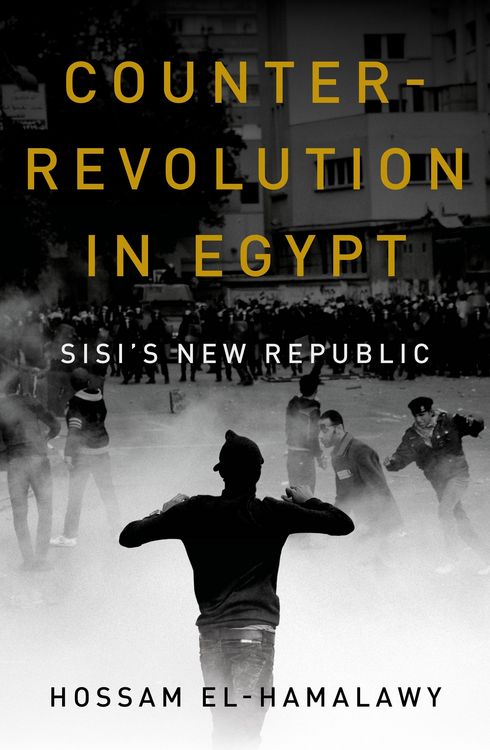 Produktbild: Counterrevolution in Egypt
