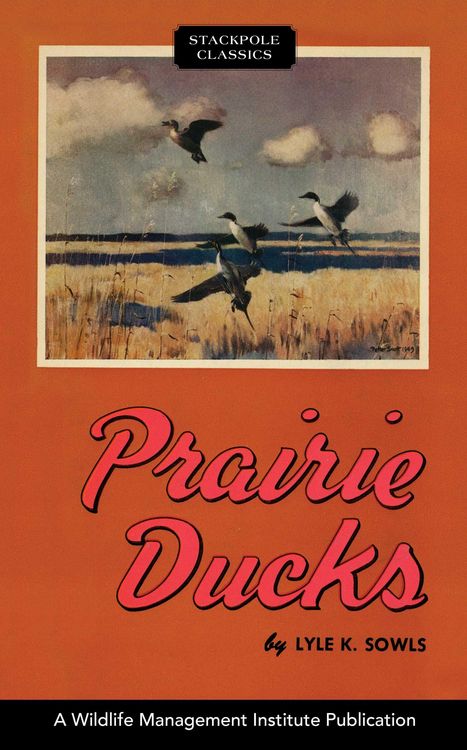 Produktbild: Prairie Ducks