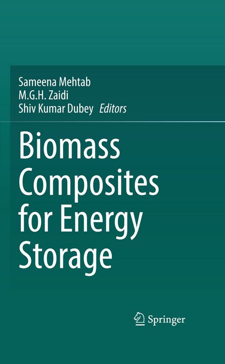 Produktbild: Biomass Composites for Energy Storage