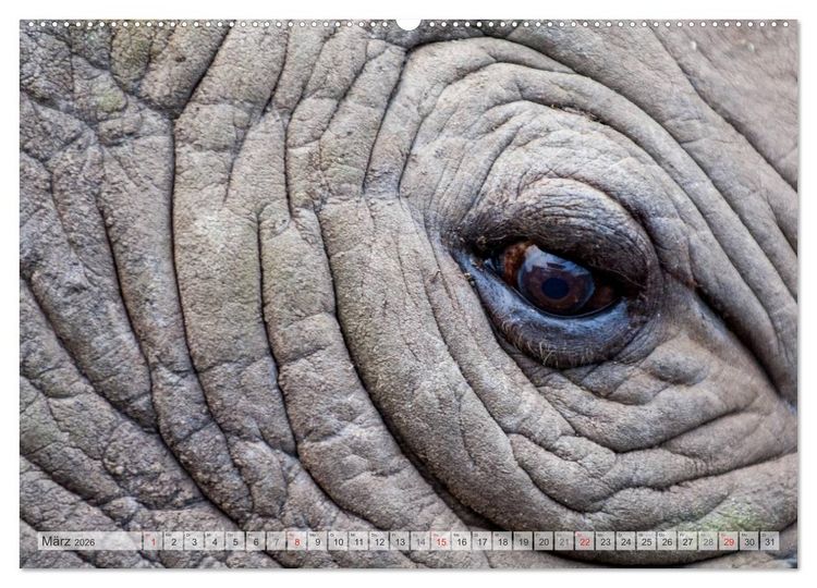 Produktbild: Emotionale Momente: Afrika Wildlife Part 2 / CH-Version (hochwertiger Premium Wandkalender 2026 DIN A2 quer), Kunstdruck in Hochglanz
