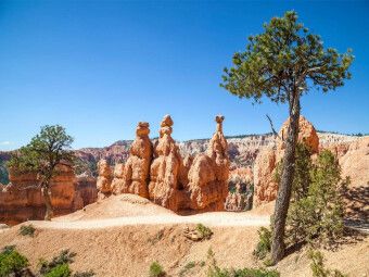 Produktbild: CALVENDO Puzzle BRYCE CANYON Wanderpfad durch die Felsformationen | 1000 Teile Lege-Gr&ouml;&szlig;e 64x48cm Foto-Puzzle f&uuml;r gl&uuml;ckliche Stunden
