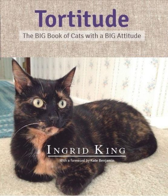 Produktbild: Tortitude