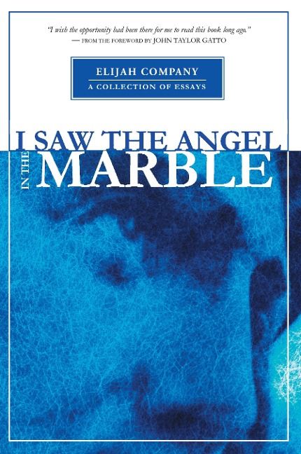 Produktbild: I Saw the Angel in the Marble