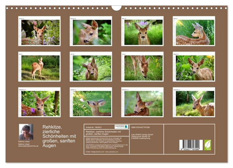 Produktbild: Rehkitze, zierliche Sch&ouml;nheiten mit gro&szlig;en, sanften Augen (Wandkalender 2026 DIN A3 quer), CALVENDO Monatskalender