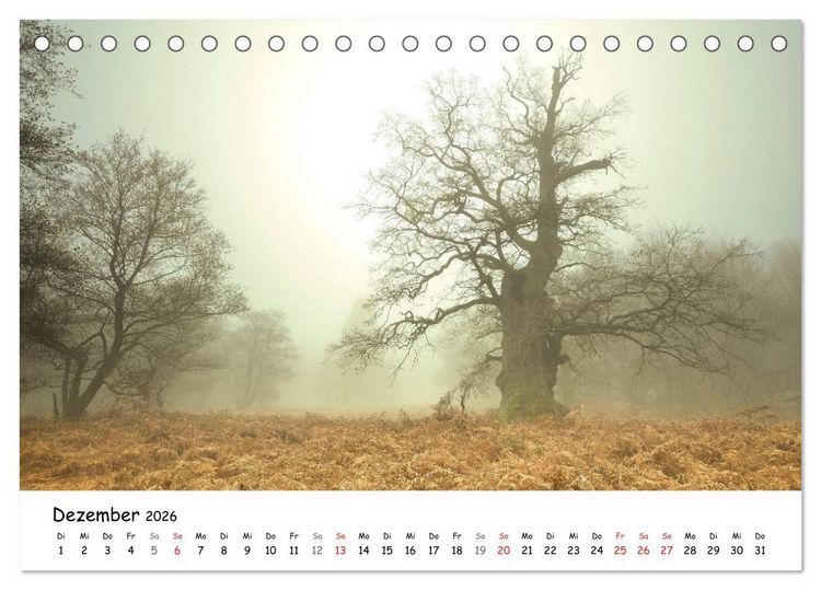 Produktbild: Morgendliche Stimmungen in Nordhessen (Tischkalender 2026 DIN A5 quer), CALVENDO Monatskalender