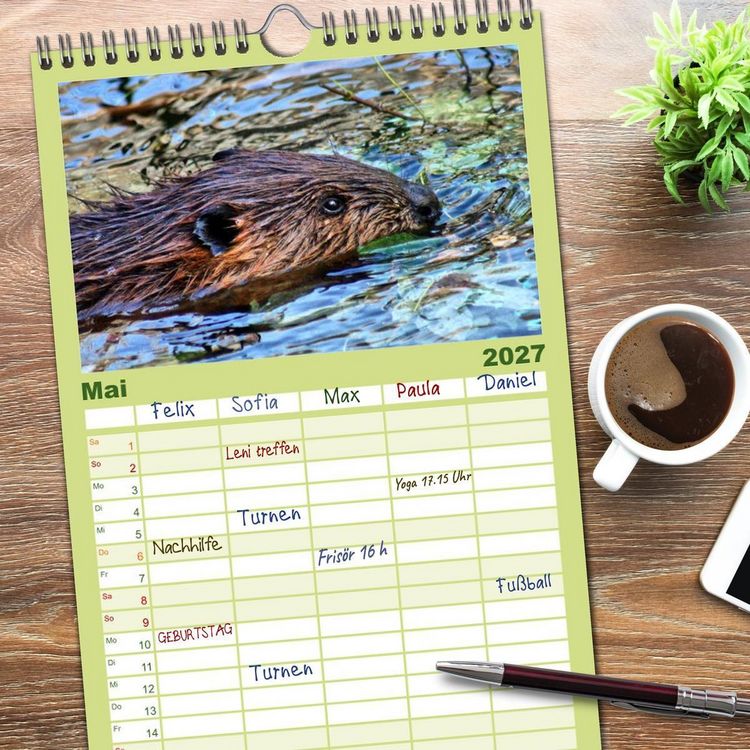 Produktbild: Familienplaner 2027 - Das Leben der Biber mit 5 Spalten (Wandkalender, 21 x 45 cm) CALVENDO