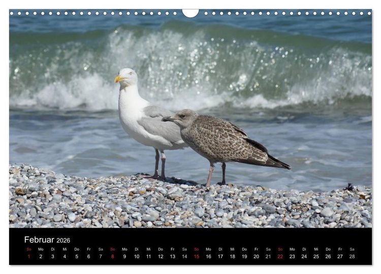 Produktbild: Hochseeeinsel Helgoland (Wandkalender 2026 DIN A3 quer), CALVENDO Monatskalender
