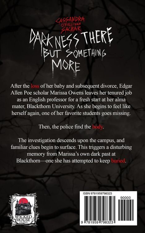 Produktbild: Darkness There But Something More