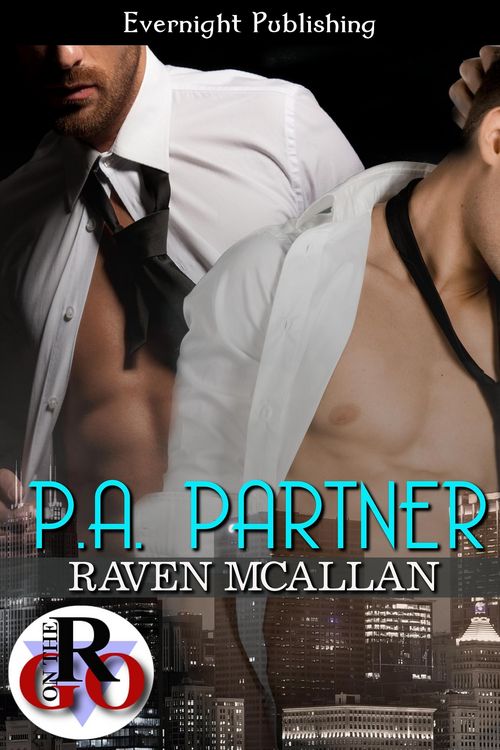 Produktbild: P.A. Partner