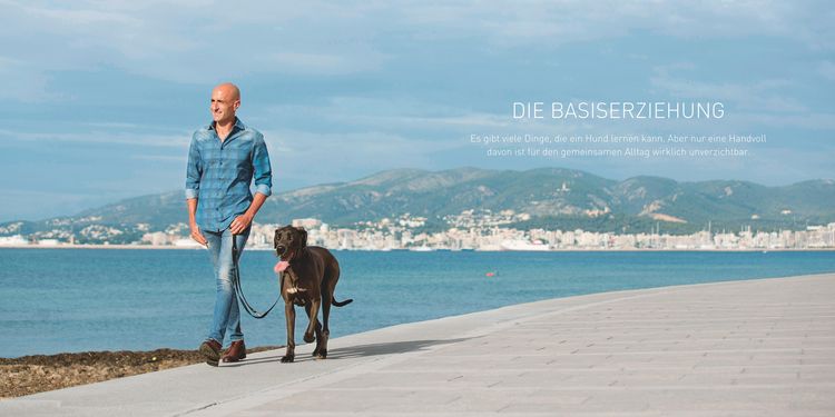 Produktbild: Jos&eacute; Arce's Praxisbuch
