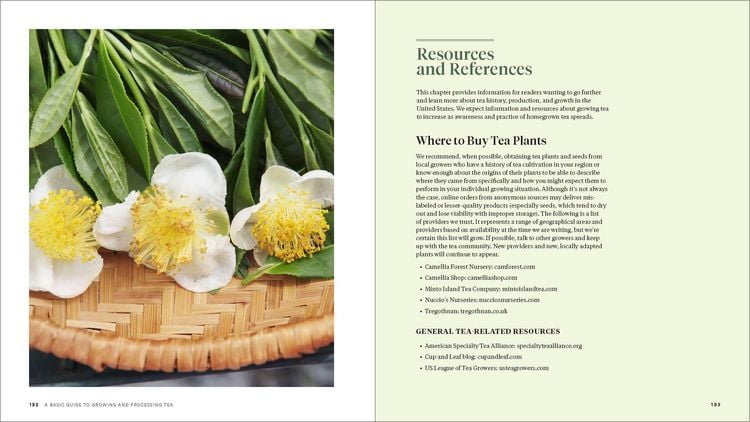 Produktbild: Grow Your Own Tea