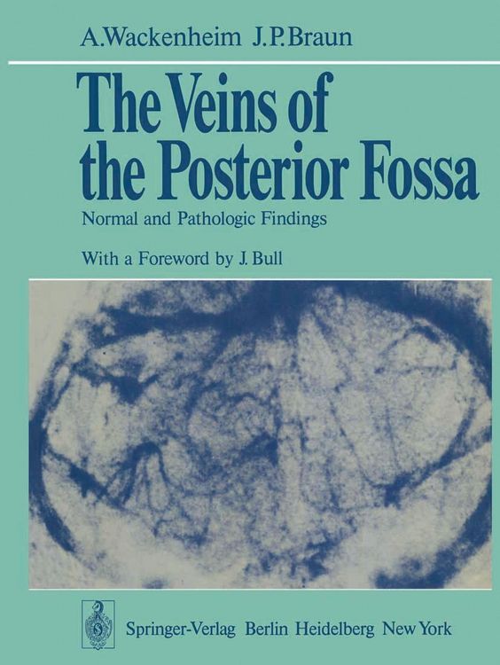 Produktbild: The Veins of the Posterior Fossa