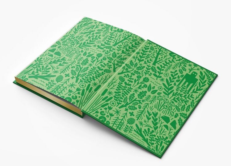 Produktbild: The Wild Robot: Collector's Edition Volume 1