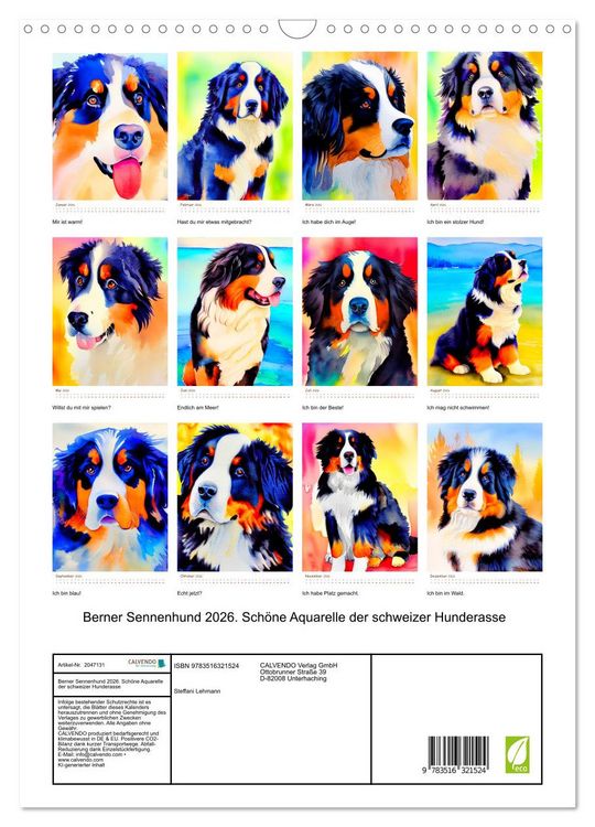 Produktbild: Berner Sennenhund 2026. Sch&ouml;ne Aquarelle der schweizer Hunderasse (Wandkalender 2026 DIN A3 hoch), CALVENDO Monatskalender