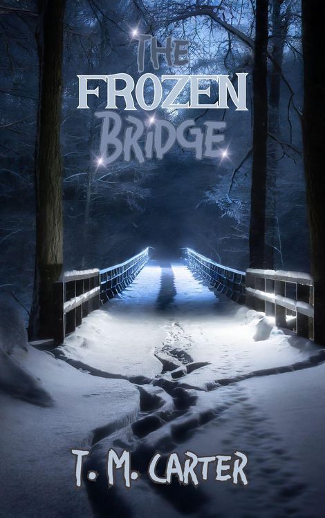 Produktbild: The Frozen Bridge (A Detective Rooks Series, #1)