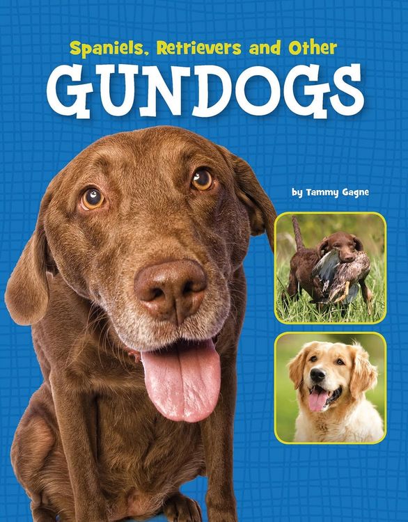 Produktbild: Spaniels, Retrievers and Other Gundogs