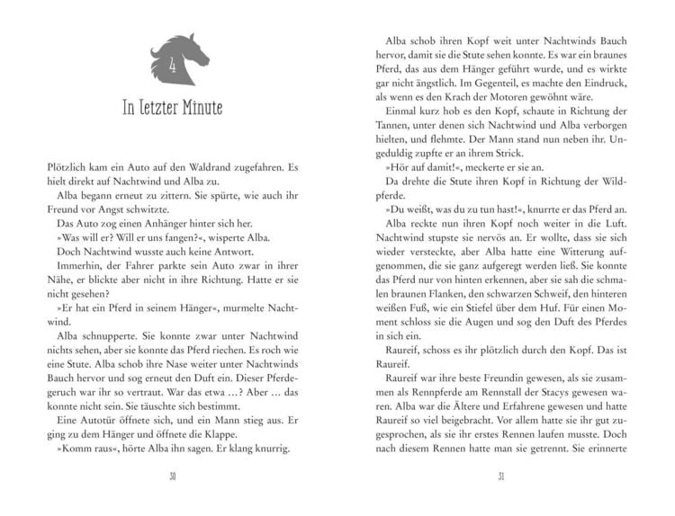 Produktbild: Wild Horses &minus; Zusammen durch den Sturm